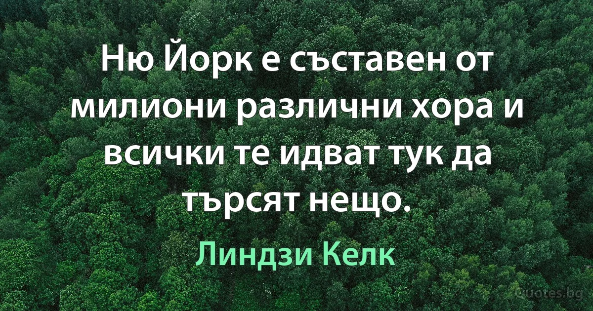 Ню Йорк е съставен от милиони различни хора и всички те идват тук да търсят нещо. (Линдзи Келк)