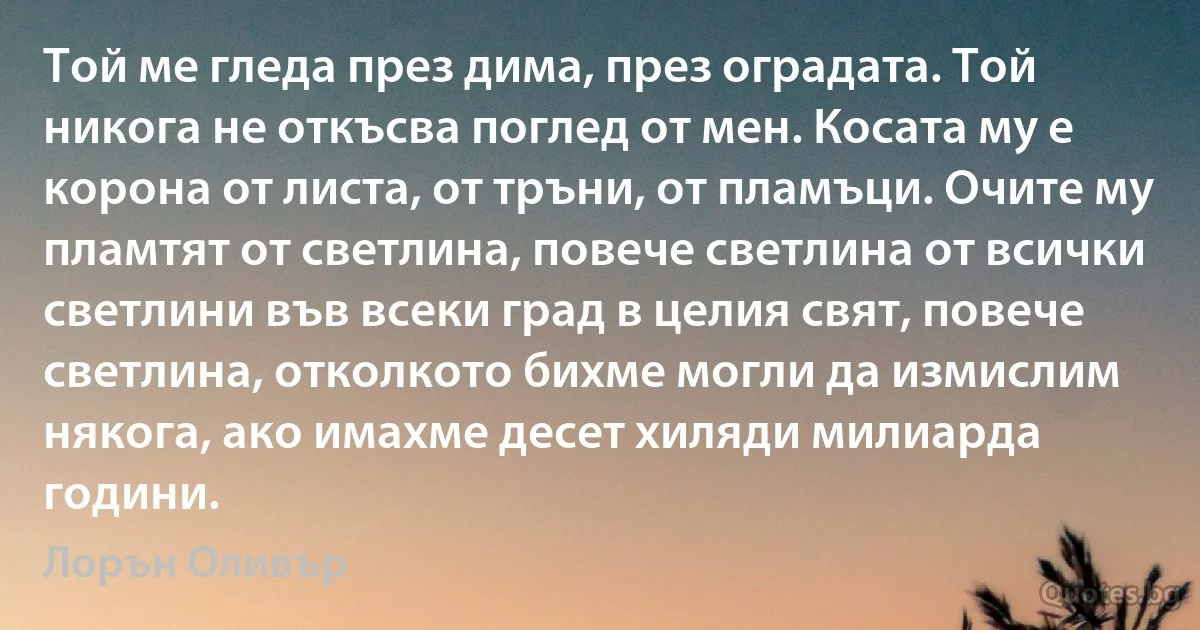 Той ме гледа през дима, през оградата. Той никога не откъсва поглед от мен. Косата му е корона от листа, от тръни, от пламъци. Очите му пламтят от светлина, повече светлина от всички светлини във всеки град в целия свят, повече светлина, отколкото бихме могли да измислим някога, ако имахме десет хиляди милиарда години. (Лорън Оливър)