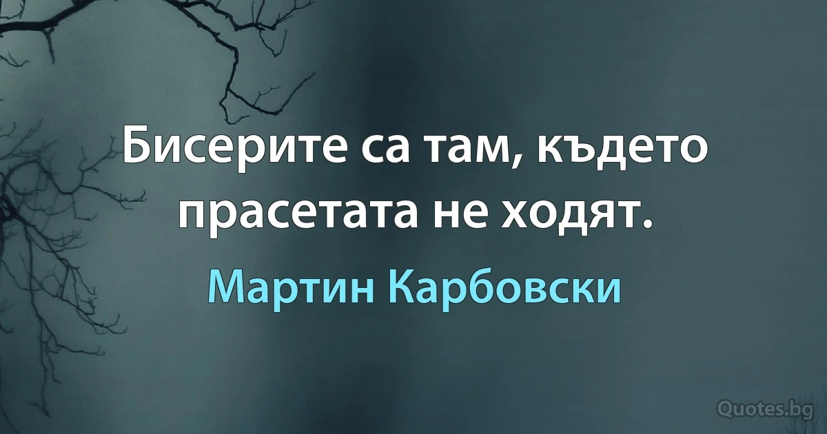 Бисерите са там, където прасетата не ходят. (Мартин Карбовски)