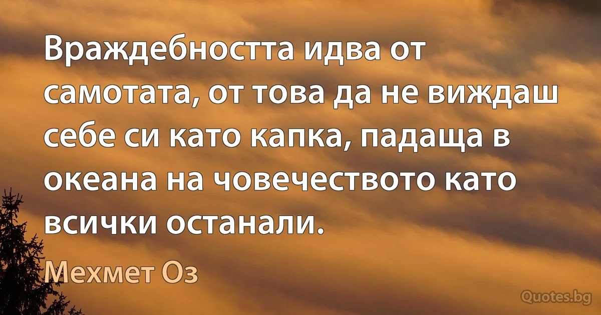 Враждебността идва от самотата, от това да не виждаш себе си като капка, падаща в океана на човечеството като всички останали. (Мехмет Оз)