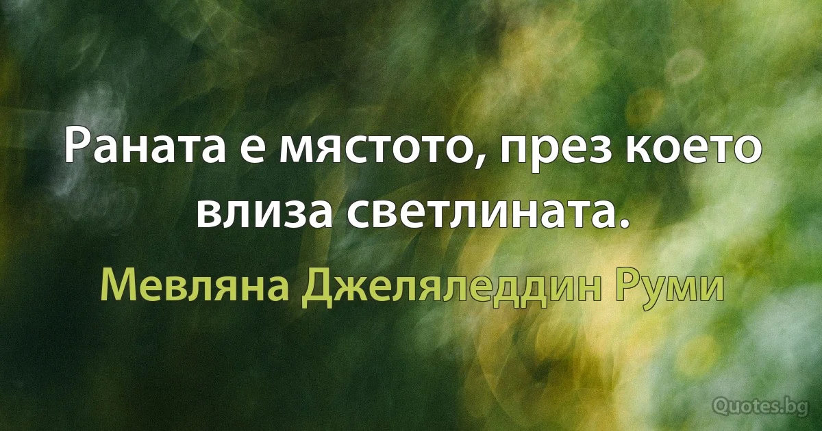 Раната е мястото, през което влиза светлината. (Мевляна Джеляледдин Руми)