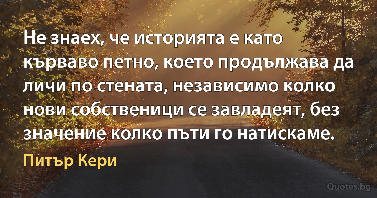 Не знаех, че историята е като кърваво петно, което продължава да личи по стената, независимо колко нови собственици се завладеят, без значение колко пъти го натискаме. (Питър Кери)