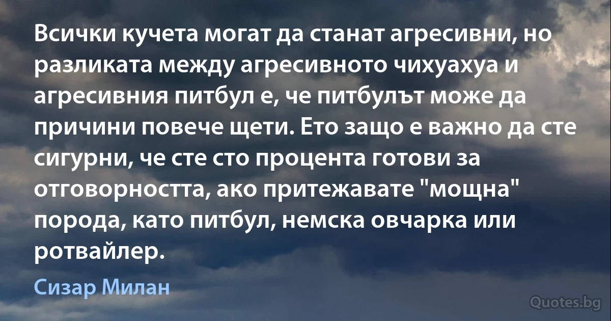 Всички кучета могат да станат агресивни, но разликата между агресивното чихуахуа и агресивния питбул е, че питбулът може да причини повече щети. Ето защо е важно да сте сигурни, че сте сто процента готови за отговорността, ако притежавате "мощна" порода, като питбул, немска овчарка или ротвайлер. (Сизар Милан)