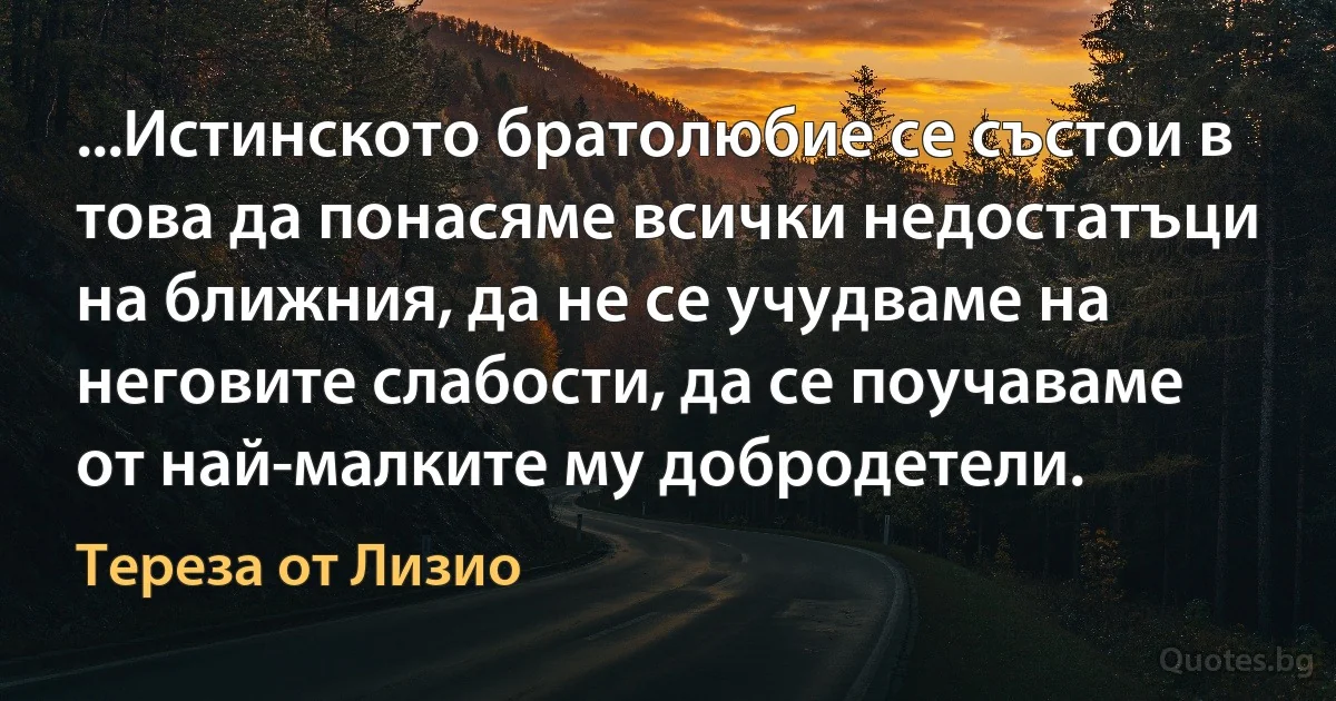 ...Истинското братолюбие се състои в това да понасяме всички недостатъци на ближния, да не се учудваме на неговите слабости, да се поучаваме от най-малките му добродетели. (Тереза от Лизио)