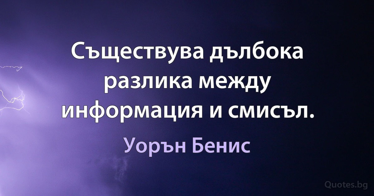 Съществува дълбока разлика между информация и смисъл. (Уорън Бенис)