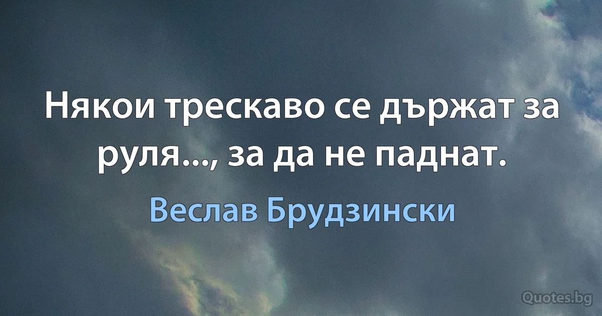 Някои трескаво се държат за руля..., за да не паднат. (Веслав Брудзински)