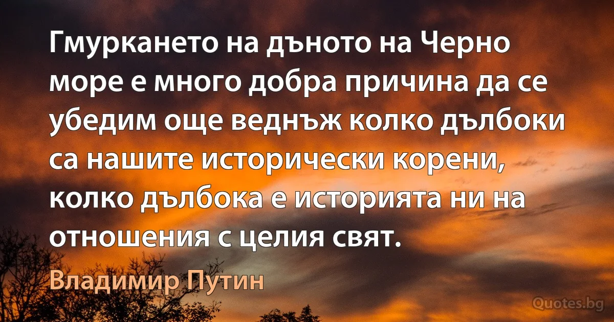 Гмуркането на дъното на Черно море е много добра причина да се убедим още веднъж колко дълбоки са нашите исторически корени, колко дълбока е историята ни на отношения с целия свят. (Владимир Путин)