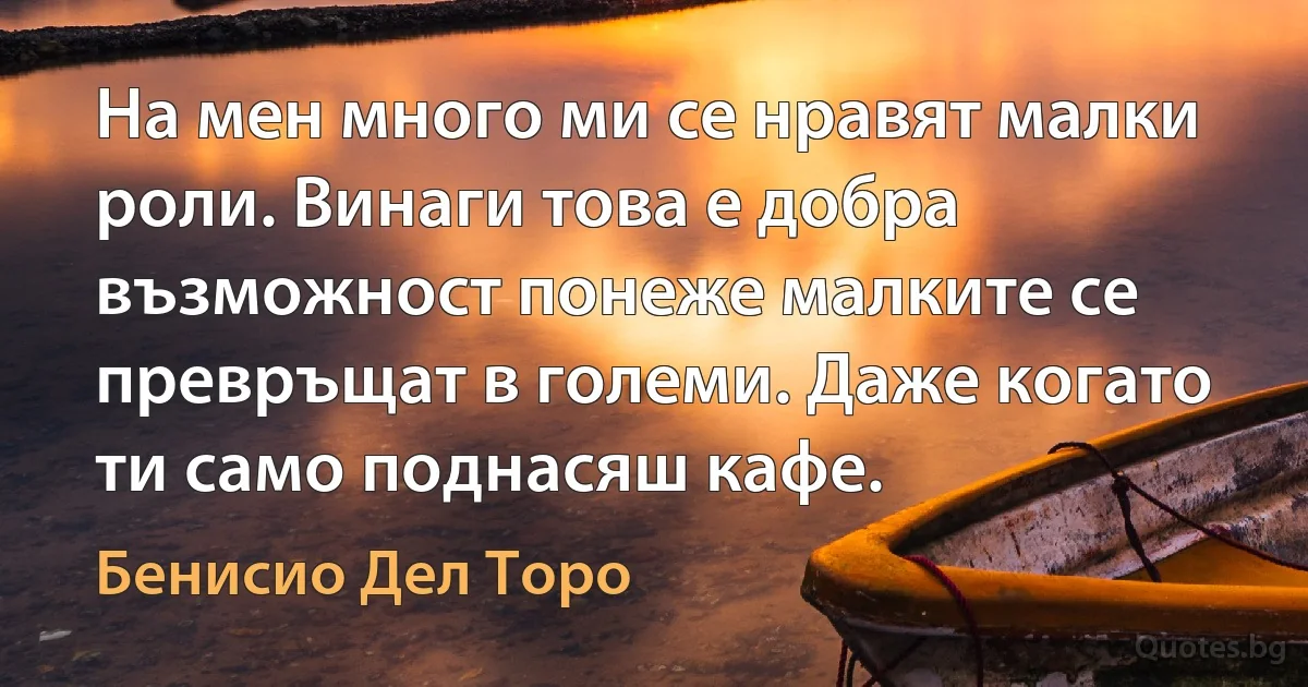 На мен много ми се нравят малки роли. Винаги това е добра възможност понеже малките се превръщат в големи. Даже когато ти само поднасяш кафе. (Бенисио Дел Торо)