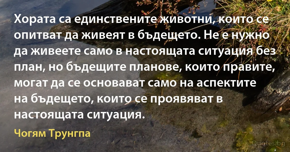 Хората са единствените животни, които се опитват да живеят в бъдещето. Не е нужно да живеете само в настоящата ситуация без план, но бъдещите планове, които правите, могат да се основават само на аспектите на бъдещето, които се проявяват в настоящата ситуация. (Чогям Трунгпа)