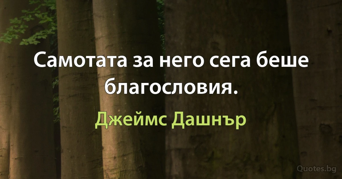 Самотата за него сега беше благословия. (Джеймс Дашнър)