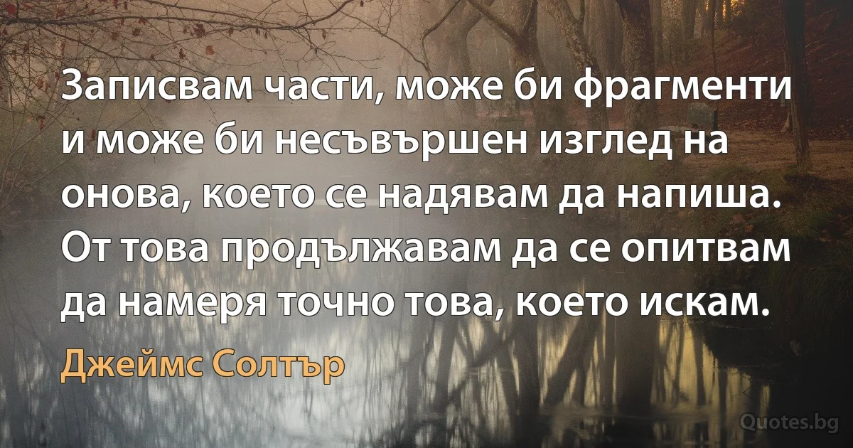 Записвам части, може би фрагменти и може би несъвършен изглед на онова, което се надявам да напиша. От това продължавам да се опитвам да намеря точно това, което искам. (Джеймс Солтър)