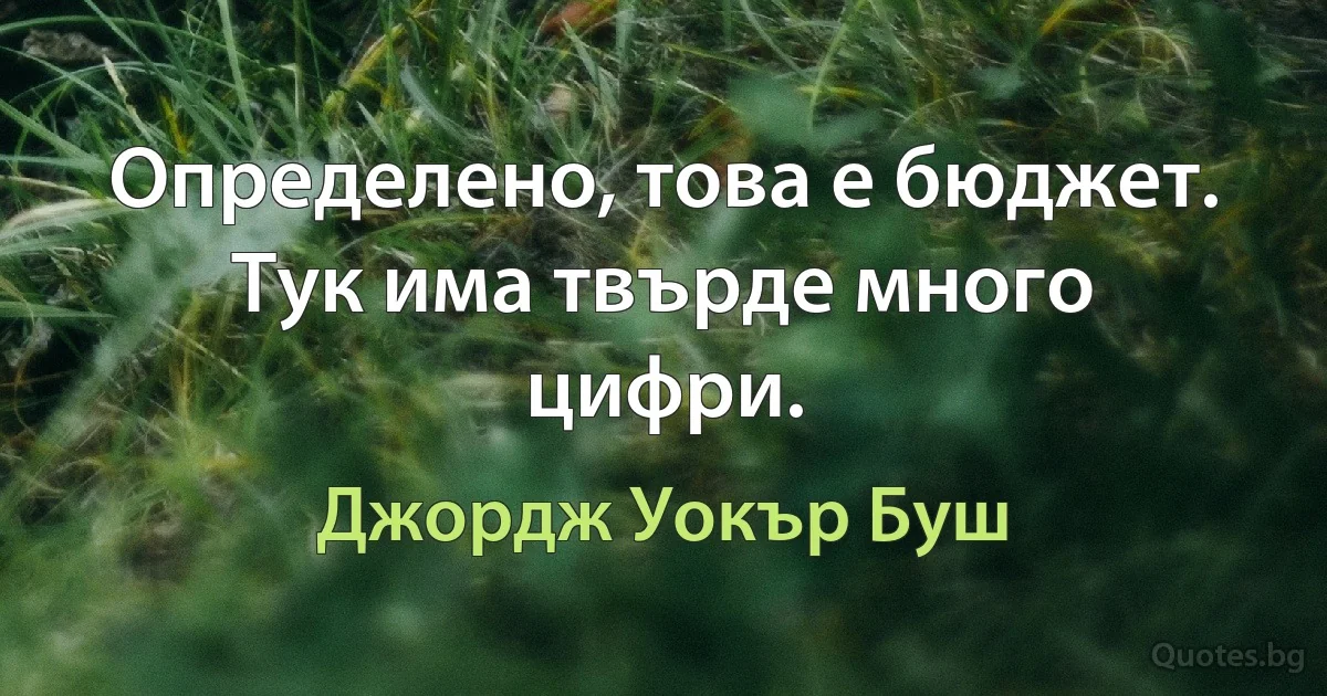 Определено, това е бюджет. Тук има твърде много цифри. (Джордж Уокър Буш)