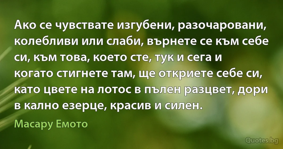 Ако се чувствате изгубени, разочаровани, колебливи или слаби, върнете се към себе си, към това, което сте, тук и сега и когато стигнете там, ще откриете себе си, като цвете на лотос в пълен разцвет, дори в кално езерце, красив и силен. (Масару Емото)