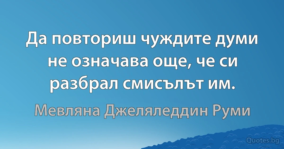 Да повториш чуждите думи не означава още, че си разбрал смисълът им. (Мевляна Джеляледдин Руми)