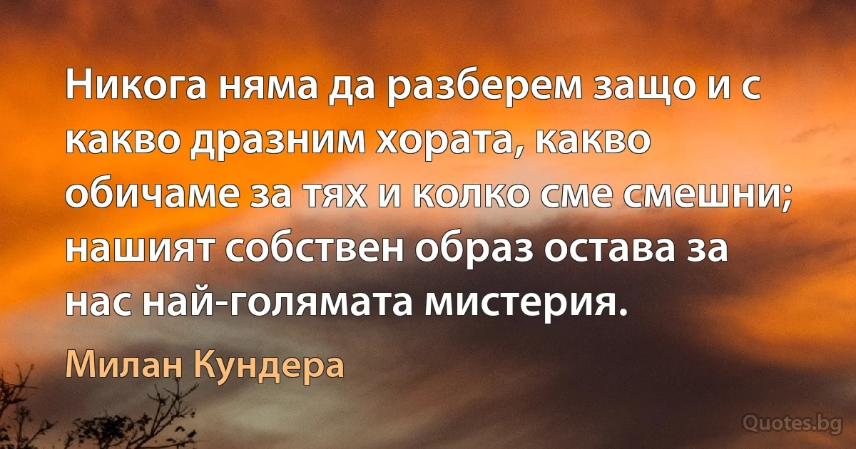 Никога няма да разберем защо и с какво дразним хората, какво обичаме за тях и колко сме смешни; нашият собствен образ остава за нас най-голямата мистерия. (Милан Кундера)