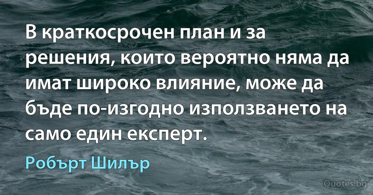 В краткосрочен план и за решения, които вероятно няма да имат широко влияние, може да бъде по-изгодно използването на само един експерт. (Робърт Шилър)