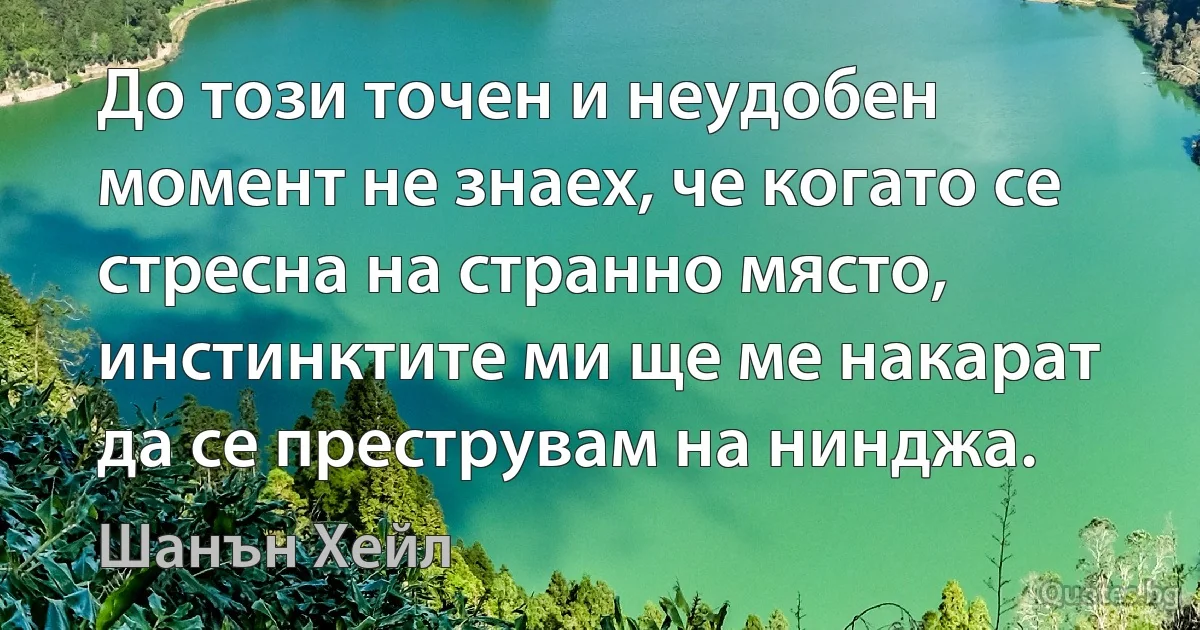 До този точен и неудобен момент не знаех, че когато се стресна на странно място, инстинктите ми ще ме накарат да се преструвам на нинджа. (Шанън Хейл)