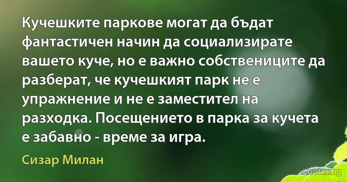 Кучешките паркове могат да бъдат фантастичен начин да социализирате вашето куче, но е важно собствениците да разберат, че кучешкият парк не е упражнение и не е заместител на разходка. Посещението в парка за кучета е забавно - време за игра. (Сизар Милан)