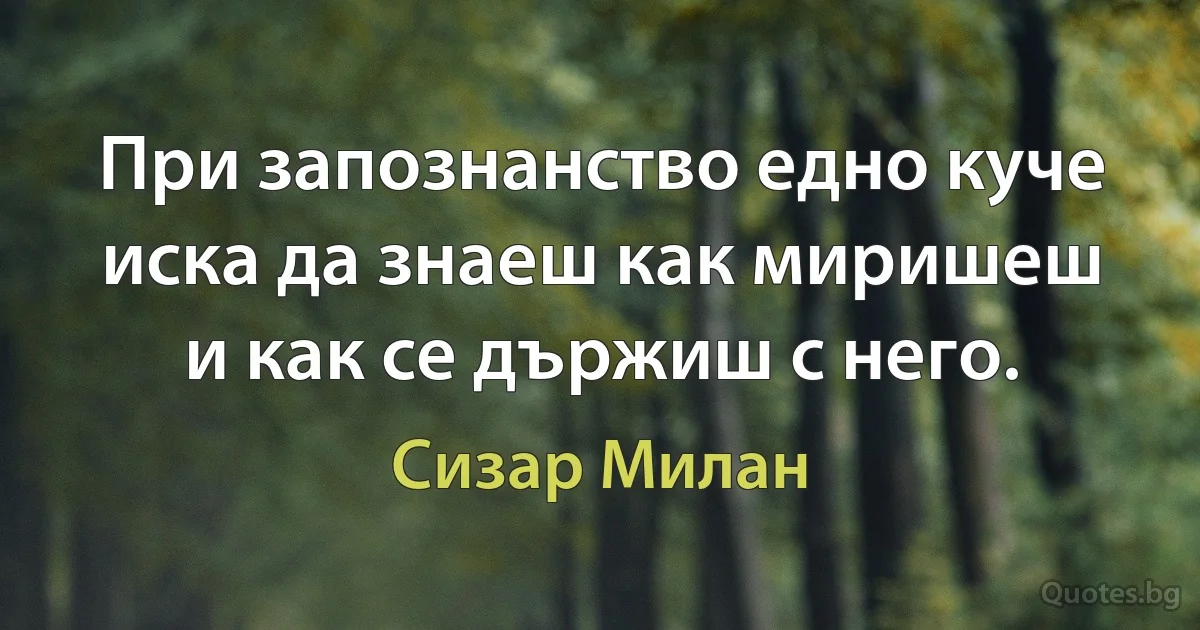 При запознанство едно куче иска да знаеш как миришеш и как се държиш с него. (Сизар Милан)