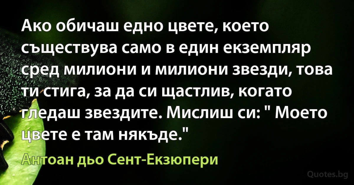 Ако обичаш едно цвете, което съществува само в един екземпляр сред милиони и милиони звезди, това ти стига, за да си щастлив, когато гледаш звездите. Мислиш си: " Моето цвете е там някъде." (Антоан дьо Сент-Екзюпери)