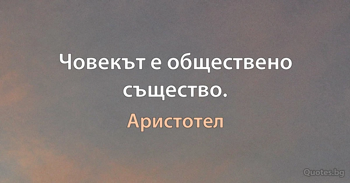 Човекът е обществено същество. (Аристотел)