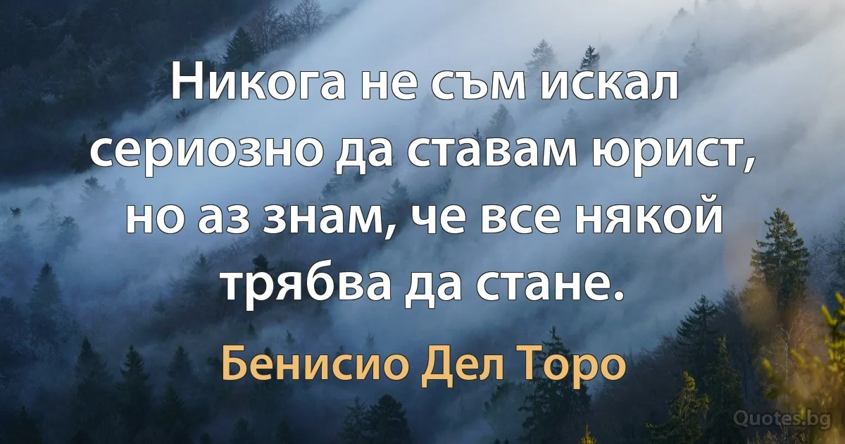 Никога не съм искал сериозно да ставам юрист, но аз знам, че все някой трябва да стане. (Бенисио Дел Торо)