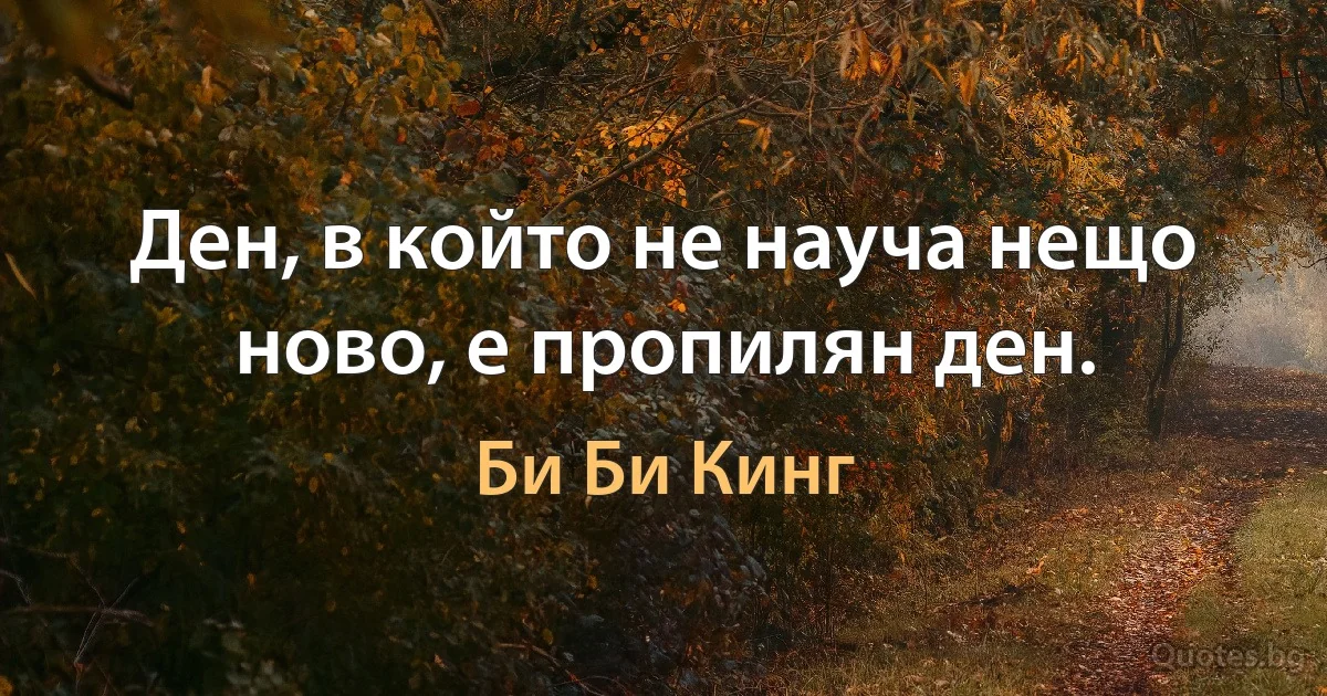 Ден, в който не науча нещо ново, е пропилян ден. (Би Би Кинг)