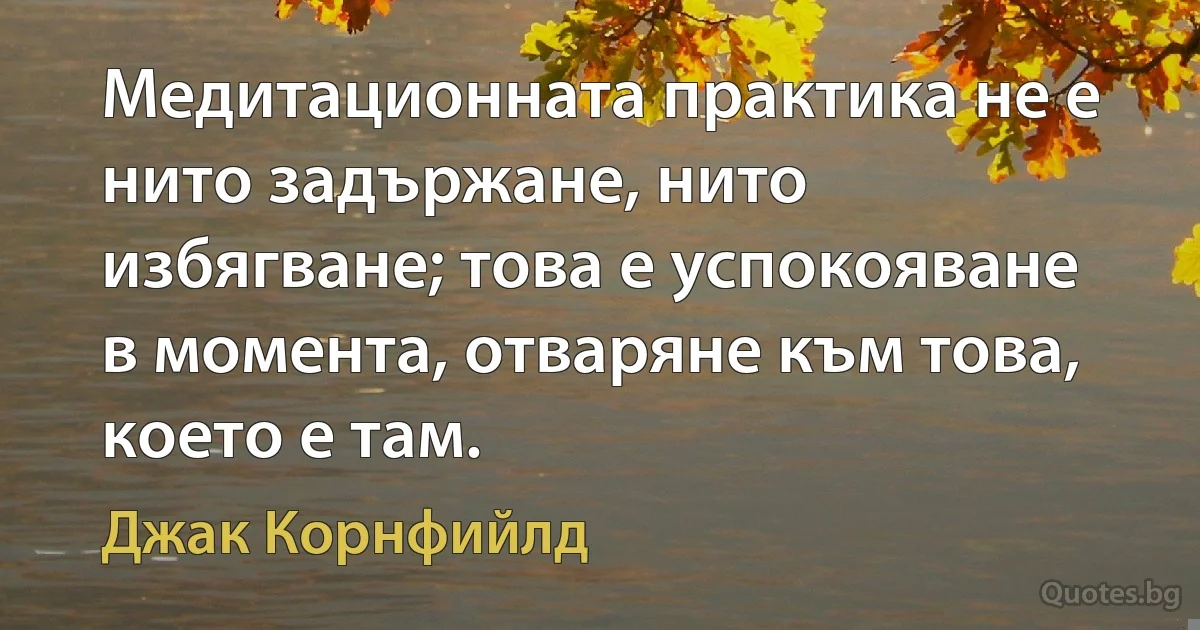 Медитационната практика не е нито задържане, нито избягване; това е успокояване в момента, отваряне към това, което е там. (Джак Корнфийлд)