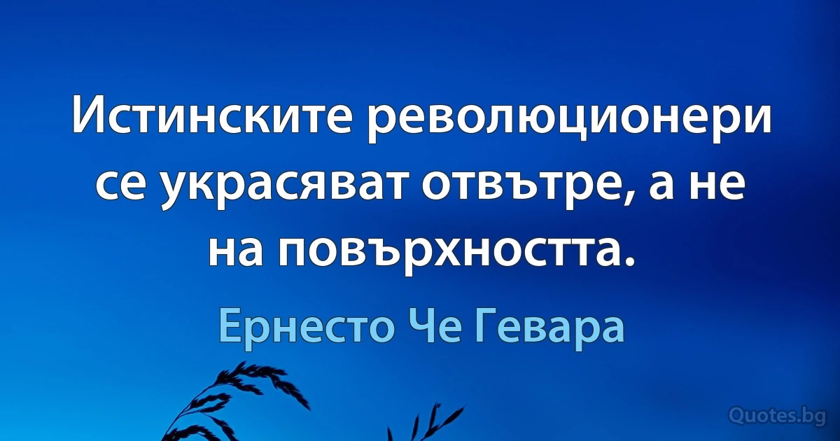 Истинските революционери се украсяват отвътре, а не на повърхността. (Ернесто Че Гевара)