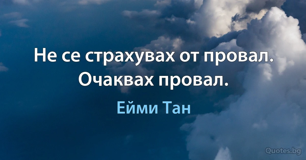 Не се страхувах от провал. Очаквах провал. (Ейми Тан)