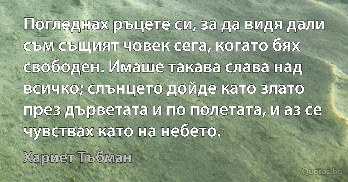 Погледнах ръцете си, за да видя дали съм същият човек сега, когато бях свободен. Имаше такава слава над всичко; слънцето дойде като злато през дърветата и по полетата, и аз се чувствах като на небето. (Хариет Тъбман)