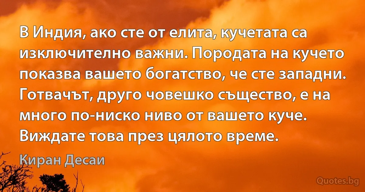 В Индия, ако сте от елита, кучетата са изключително важни. Породата на кучето показва вашето богатство, че сте западни. Готвачът, друго човешко същество, е на много по-ниско ниво от вашето куче. Виждате това през цялото време. (Киран Десаи)