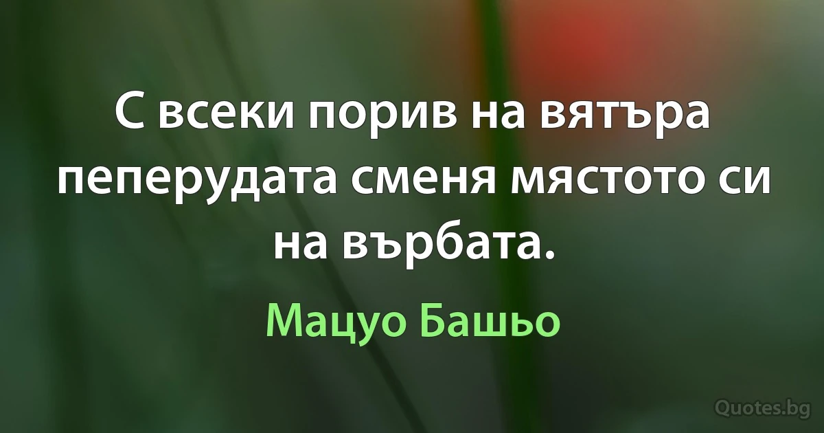 С всеки порив на вятъра пеперудата сменя мястото си на върбата. (Мацуо Башьо)