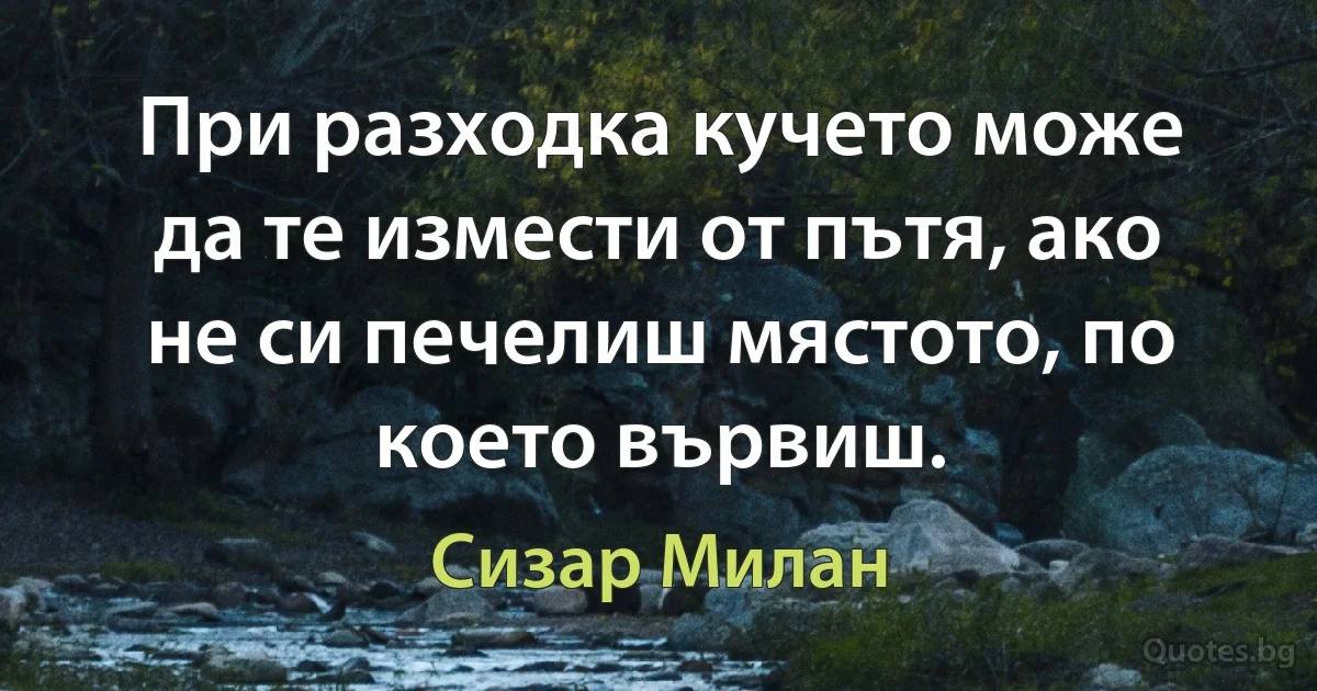 При разходка кучето може да те измести от пътя, ако не си печелиш мястото, по което вървиш. (Сизар Милан)