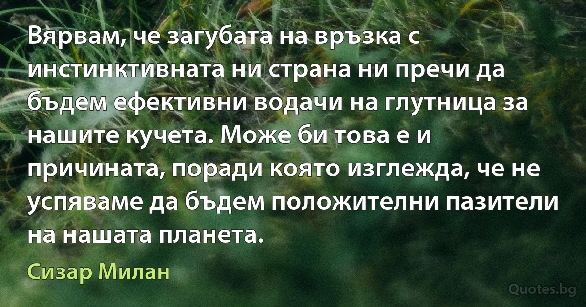 Вярвам, че загубата на връзка с инстинктивната ни страна ни пречи да бъдем ефективни водачи на глутница за нашите кучета. Може би това е и причината, поради която изглежда, че не успяваме да бъдем положителни пазители на нашата планета. (Сизар Милан)