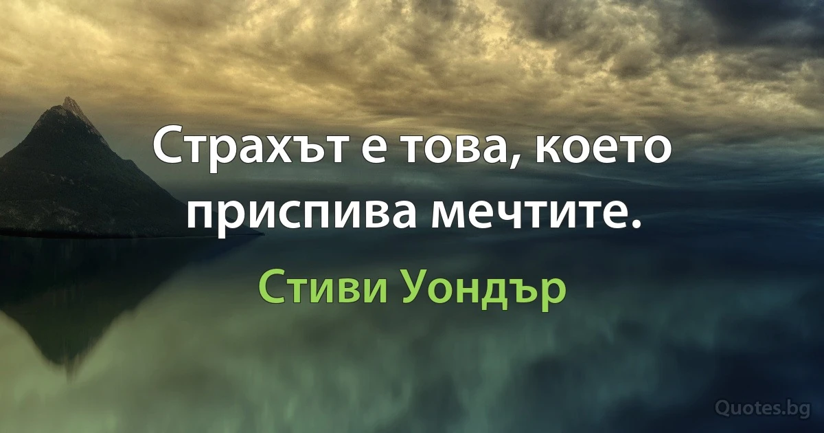 Страхът е това, което приспива мечтите. (Стиви Уондър)