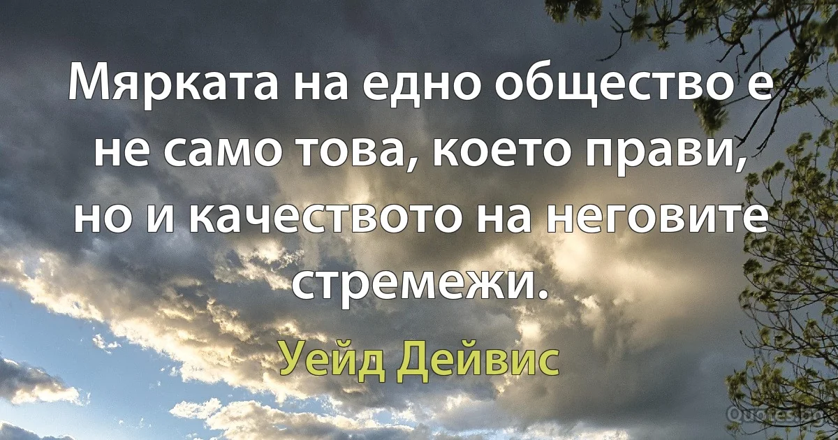 Мярката на едно общество е не само това, което прави, но и качеството на неговите стремежи. (Уейд Дейвис)