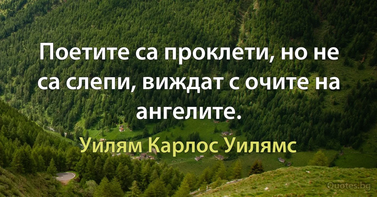 Поетите са проклети, но не са слепи, виждат с очите на ангелите. (Уилям Карлос Уилямс)