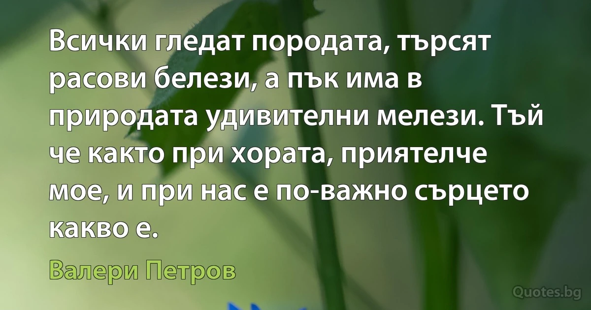 Всички гледат породата, търсят расови белези, а пък има в природата удивителни мелези. Тъй че както при хората, приятелче мое, и при нас е по-важно сърцето какво е. (Валери Петров)