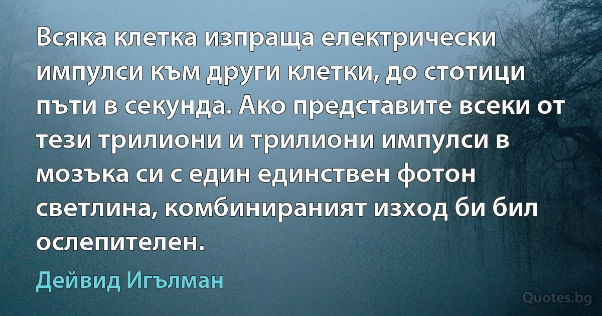 Всяка клетка изпраща електрически импулси към други клетки, до стотици пъти в секунда. Ако представите всеки от тези трилиони и трилиони импулси в мозъка си с един единствен фотон светлина, комбинираният изход би бил ослепителен. (Дейвид Игълман)