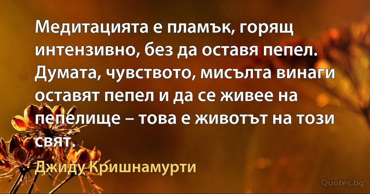 Медитацията е пламък, горящ интензивно, без да оставя пепел. Думата, чувството, мисълта винаги оставят пепел и да се живее на пепелище – това е животът на този свят. (Джиду Кришнамурти)