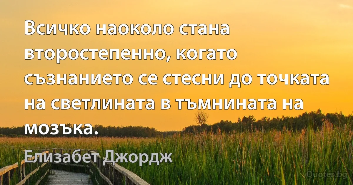 Всичко наоколо стана второстепенно, когато съзнанието се стесни до точката на светлината в тъмнината на мозъка. (Елизабет Джордж)