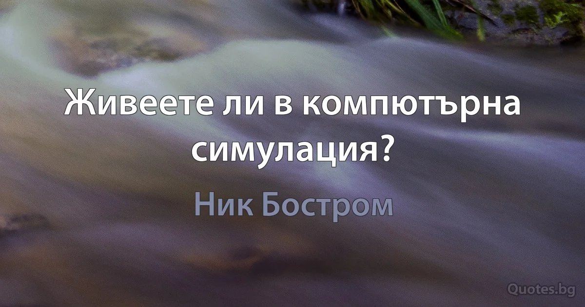 Живеете ли в компютърна симулация? (Ник Бостром)