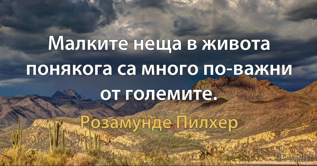 Малките неща в живота понякога са много по-важни от големите. (Розамунде Пилхер)