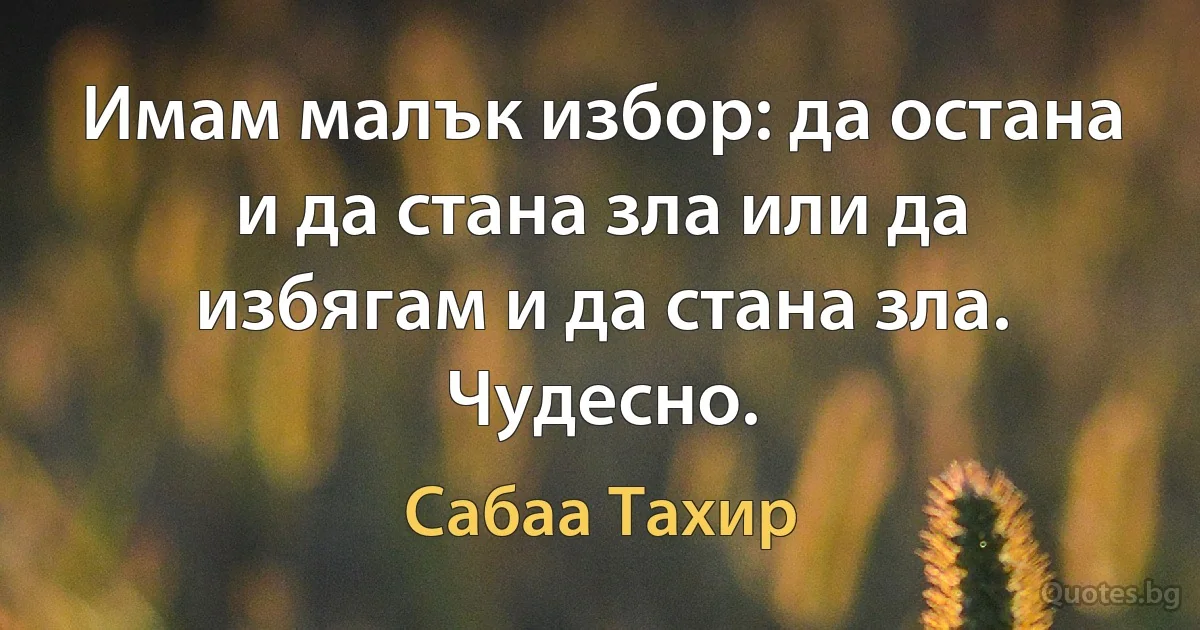 Имам малък избор: да остана и да стана зла или да избягам и да стана зла. Чудесно. (Сабаа Тахир)