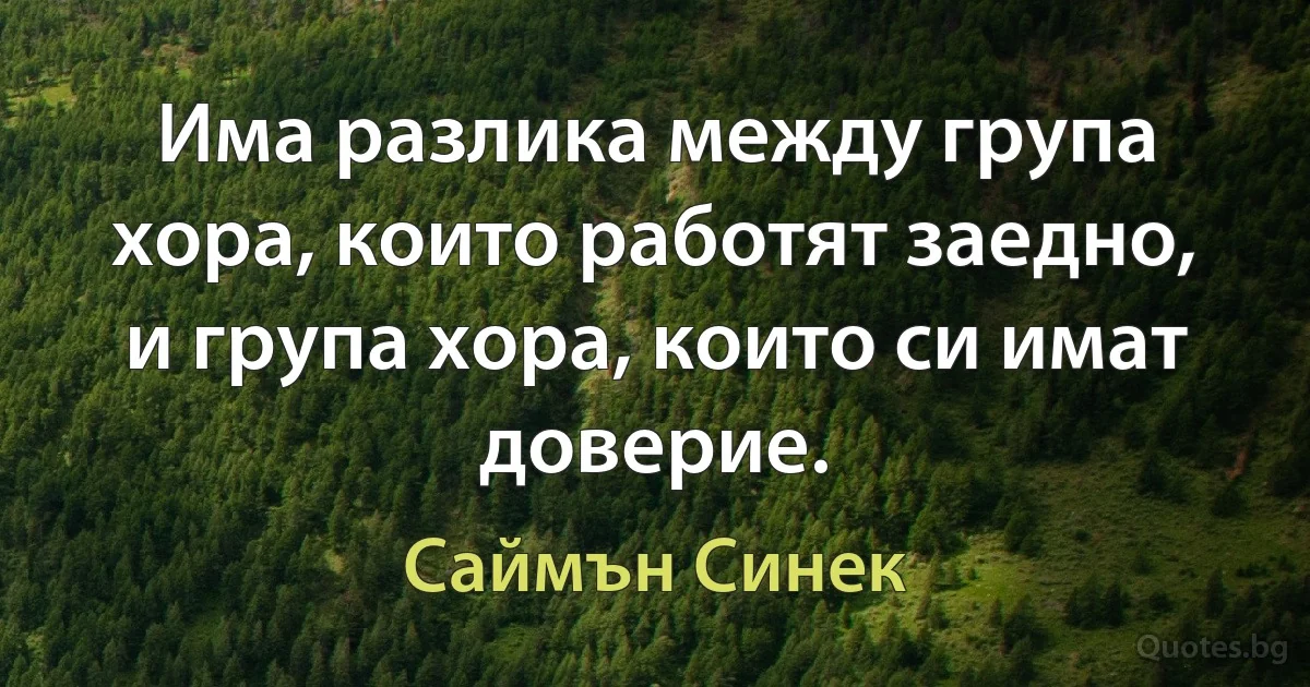 Има разлика между група хора, които работят заедно, и група хора, които си имат доверие. (Саймън Синек)