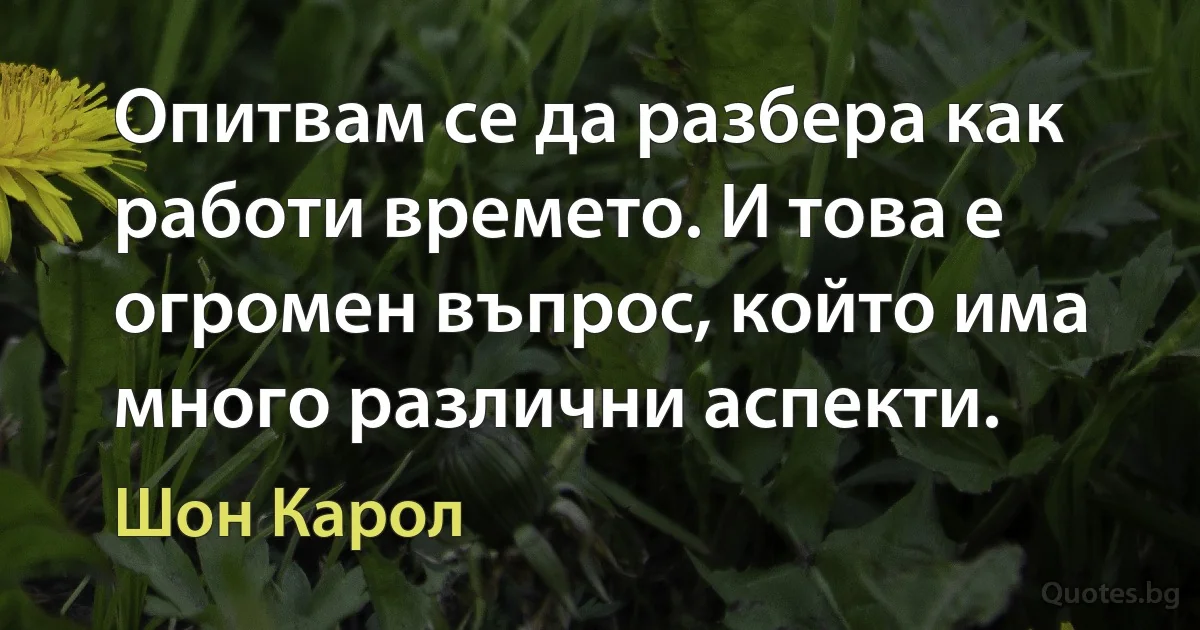 Опитвам се да разбера как работи времето. И това е огромен въпрос, който има много различни аспекти. (Шон Карол)