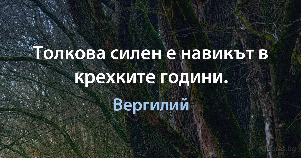 Толкова силен е навикът в крехките години. (Вергилий)