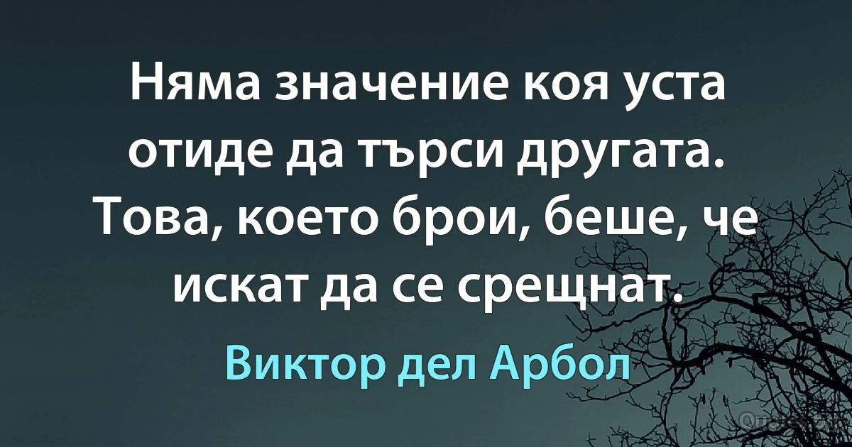 Няма значение коя уста отиде да търси другата. Това, което брои, беше, че искат да се срещнат. (Виктор дел Арбол)