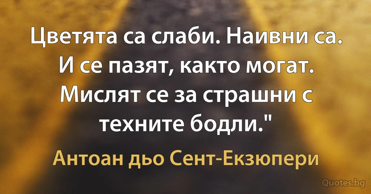 Цветята са слаби. Наивни са. И се пазят, както могат. Мислят се за страшни с техните бодли." (Антоан дьо Сент-Екзюпери)